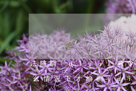 法院調(diào)查令必須配合嗎(法院什么情況下才給調(diào)查令)
