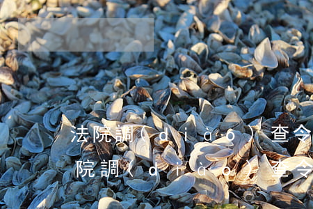法院調(diào)查令自己可以申請嗎(法院調(diào)查令自己可以申請嗎)