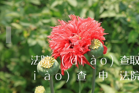 法院調(diào)查取證可以郵寄調(diào)查嗎(申請法院調(diào)查取證的范圍)