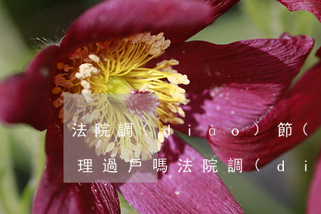 法院調(diào)節(jié)書可以辦理過戶嗎(法院調(diào)解書可以辦理房產(chǎn)過戶嗎)