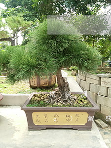 法院調(diào)解中心可以調(diào)解感情嗎(法院調(diào)解中心是干啥的)
