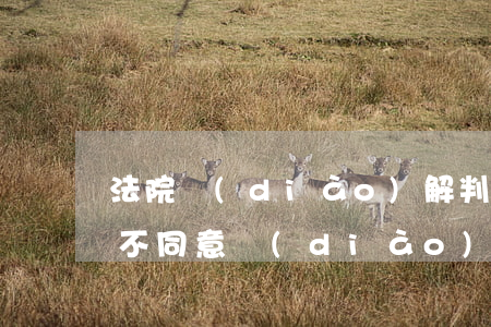 法院調(diào)解判決可以上訴嗎(原告不同意調(diào)解被告能上法院起訴嗎)