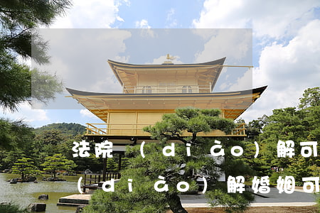 法院調(diào)解可以帶朋友嗎(法院調(diào)解婚姻可以和家人一起去嗎)