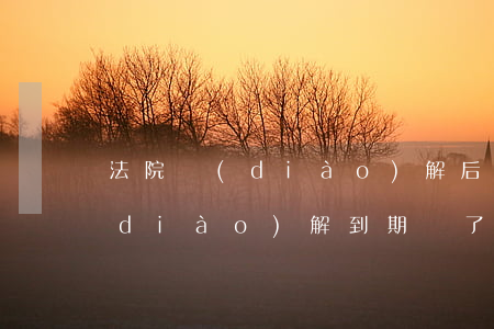 法院調(diào)解后再次逾期(法院調(diào)解到期還了一半可以申請(qǐng)強(qiáng)制執(zhí)行嗎)