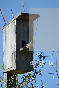 法院調(diào)解后可以申訴嗎(對(duì)法院調(diào)解不服可以申訴嗎)