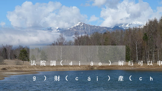 法院調(diào)解后可以申請(qǐng)財(cái)產(chǎn)保全嗎(調(diào)解后訴訟保全的解除)