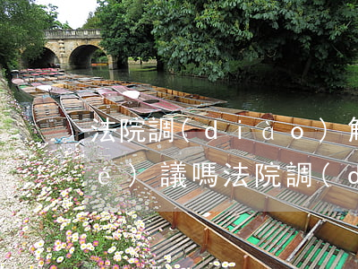 法院調(diào)解后可以補充協(xié)議嗎(法院調(diào)解書可否補充內(nèi)容)