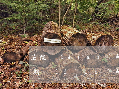 法院調(diào)解員會不會加微信（有逾期調(diào)解員加微信）