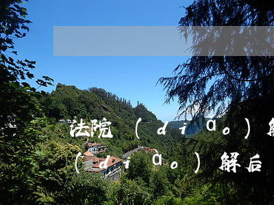法院調(diào)解完還可以判嗎(司法調(diào)解后還能起訴嗎)