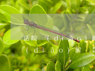 法院調(diào)解履行逾期半天(法院調(diào)解還款到期能拖多久)