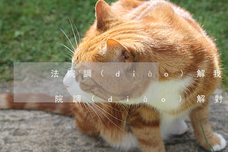 法院調(diào)解我可以拒絕不去嗎(法院調(diào)解對方不來咋辦)