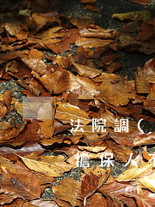 法院調(diào)解書上可以有擔保人嗎(擔保人不簽收調(diào)解書,對擔保人效力)