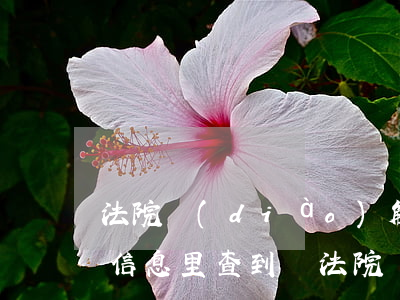 法院調(diào)解書可以企業(yè)信息里查到嗎(法院調(diào)解書可以在銀行系統(tǒng)查看到嗎?)