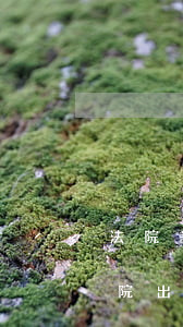 法院調(diào)解書可以要求再審嗎(法院出具了民事調(diào)解書,還可以申請再審嗎)