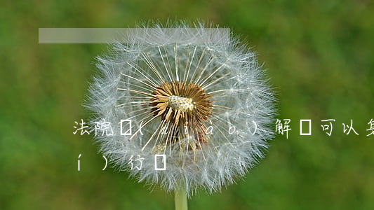 法院調(diào)解書可以身體執(zhí)行嗎