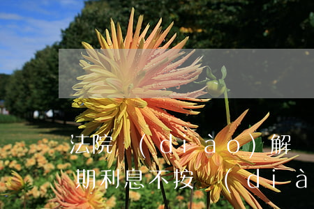 法院調(diào)解書規(guī)定逾期利息(不按調(diào)解書時間履行,逾期利息計算)
