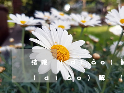 法院調(diào)解書逾期征信-法院調(diào)解協(xié)議書對(duì)征信有沒有影響