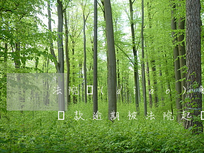 法院調(diào)解期間可以貸款嗎(銀行貸款逾期被法院起訴會(huì)接受調(diào)解嗎)