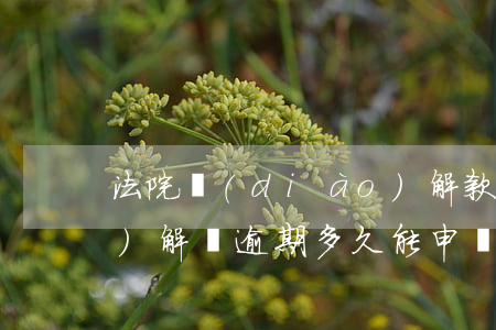 法院調(diào)解款逾期(調(diào)解書逾期多久能申請強制執(zhí)行)
