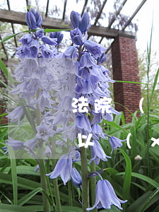 法院調(diào)解網(wǎng)貸可以協(xié)商分期還款嗎-法院調(diào)解網(wǎng)貸可以協(xié)商分期還款嗎