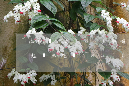 法院調(diào)解逾期怎么處理-逾期起訴法院會(huì)先調(diào)解嗎