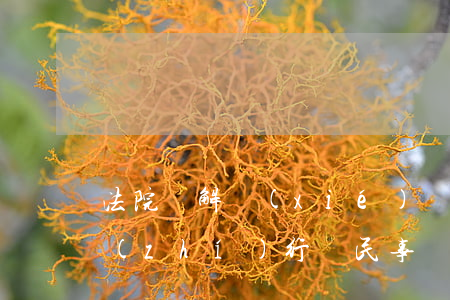 法院調解協(xié)議書可以直接強制執(zhí)行嗎(民事訴訟調解協(xié)議可以強制執(zhí)行嗎)