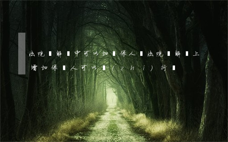法院調解書中可以加擔保人嗎(法院調解書上增加保證人可以執(zhí)行嗎)