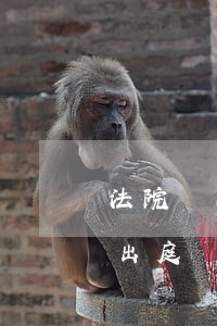 法院證人可以委托律師嗎(證人可以委托律師出庭嗎)