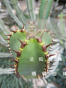 法院證據(jù)可以涂掉隱私信息嗎(法官隱瞞證據(jù)怎么辦)