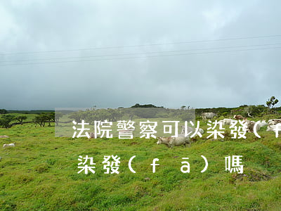 法院警察可以染發(fā)嗎(法院工作可以染發(fā)嗎)
