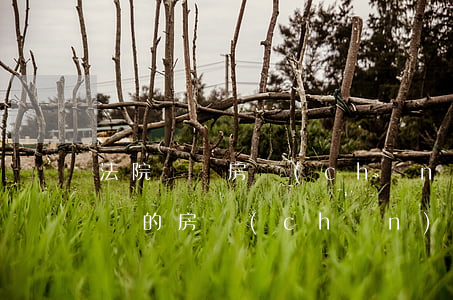 法院變賣房產(chǎn)誰都可以買嗎(變賣的房產(chǎn)為什么沒人買)