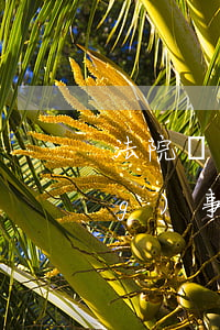 法院讓去拿逾期證據(jù)-當(dāng)事人逾期提供證據(jù)的,法院如何處理