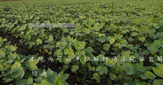法院诉可以单独解封吗(法院私自解封是什么行为)