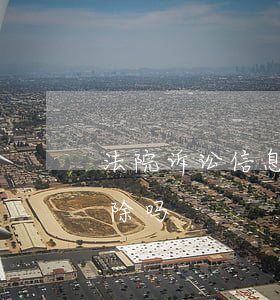 法院诉讼信息可以删除吗(法院立案记录能删除吗)