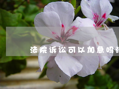 法院诉讼可以加急吗(法院诉讼可以加急吗)