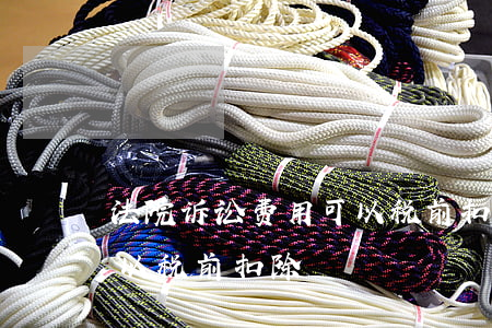 法院诉讼费用可以税前扣除吗(诉讼费是否可以税前扣除)