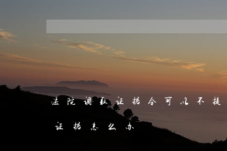法院调取证据令可以不提供吗(法院不给调取证据怎么办)