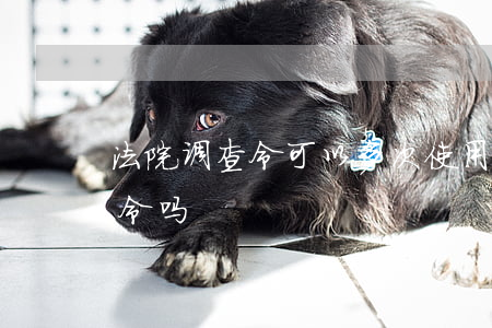 法院调查令可以多次使用吗(法院可以出调查令吗)