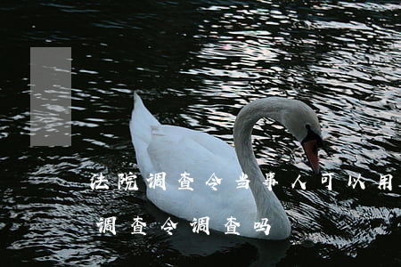 法院调查令当事人可以用吗(律师可以持法院调查令调查吗)