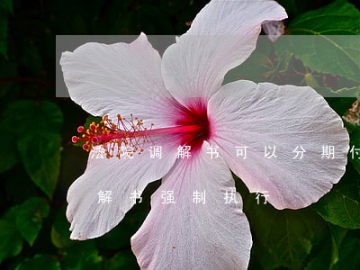 法院调解书可以分期付款吗(分期付款民事调解书强制执行)