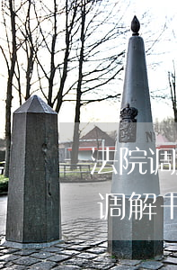法院调解书已经签订可以反悔吗(法院的民事调解书被告可以反悔吗)