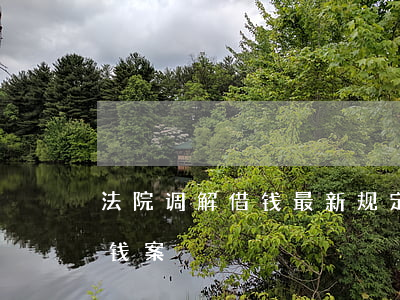 法院调解借钱最新规定(法院一般怎么调解借钱案)