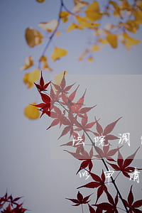 法院调解可以申请财产保全吗(案件调解后可以申请财产保全吗)