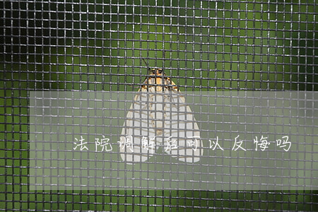 法院调解后可以反悔吗