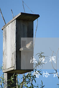 法院调解的离婚协议可以改吗(法院调解的离婚协议书签字了算离婚了)
