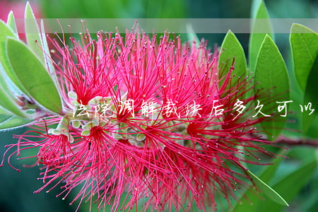 法院调解裁决后多久可以申请强制执行