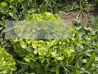 法院財(cái)產(chǎn)保全可以查封所有財(cái)產(chǎn)嗎(財(cái)產(chǎn)保全多長(zhǎng)時(shí)間法院對(duì)方財(cái)產(chǎn)進(jìn)行查封)