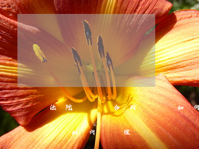 法院買賣合同糾紛如何處理(法院買賣合同糾紛如何處理)