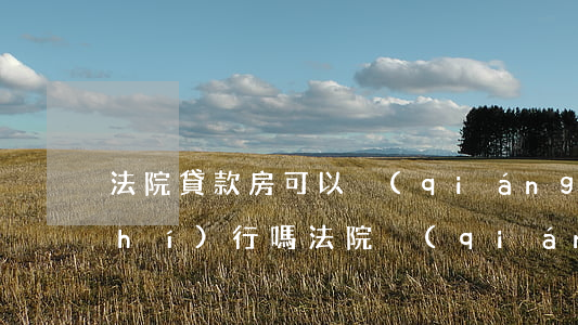 法院貸款房可以強(qiáng)制執(zhí)行嗎(法院強(qiáng)制執(zhí)行會(huì)執(zhí)行貸款的房子嗎)