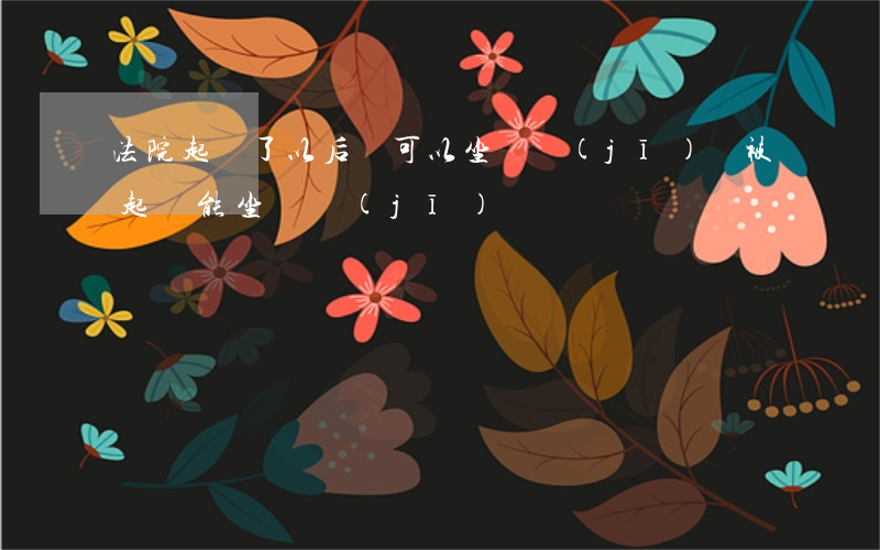 法院起訴了以后還可以坐飛機(jī)嗎(被起訴能坐飛機(jī)嗎)